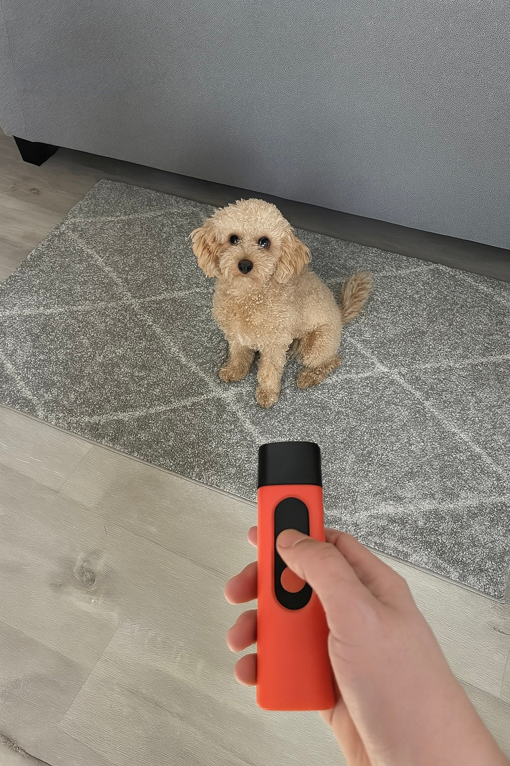 SilencePet – Sanftes Ultraschall-Training für ein entspanntes Zuhause