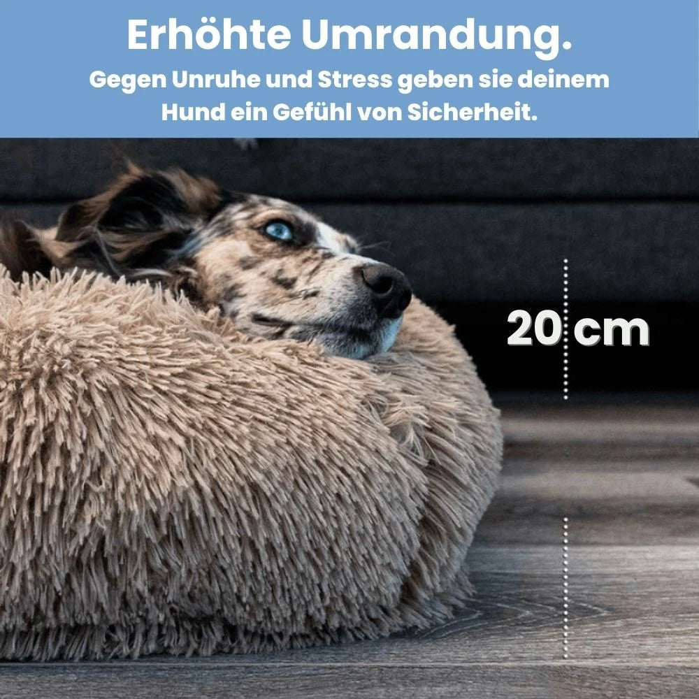 Bedpet – Das orthopädische Bett für erholsamen Hundeschlaf