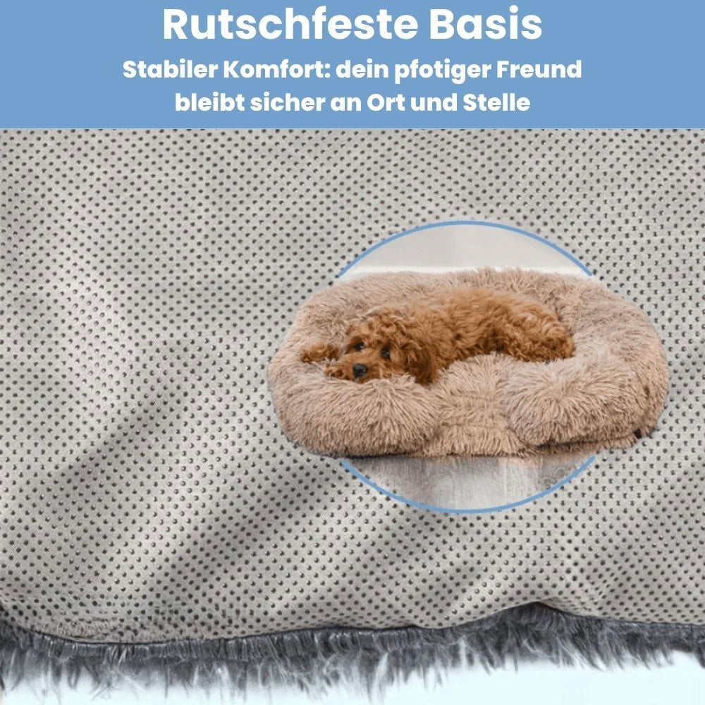 Bedpet – Das orthopädische Bett für erholsamen Hundeschlaf