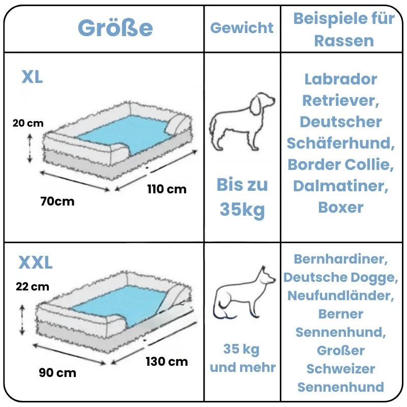 Bedpet – Das orthopädische Bett für erholsamen Hundeschlaf