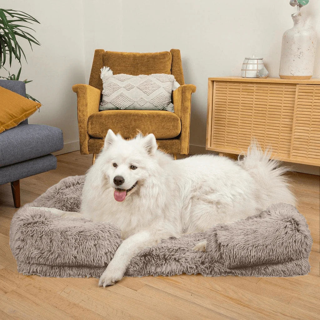 Bedpet – Das orthopädische Bett für erholsamen Hundeschlaf