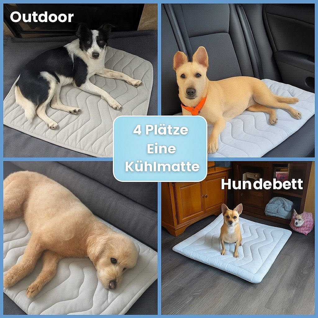 ChillPet – Die clevere Abkühlung für heisse Tage