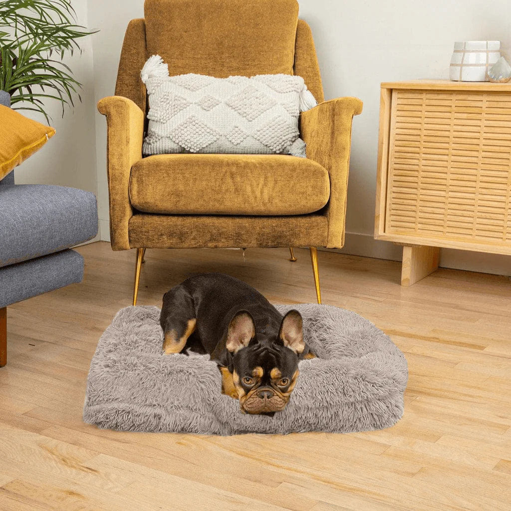 Bedpet – Das orthopädische Bett für erholsamen Hundeschlaf