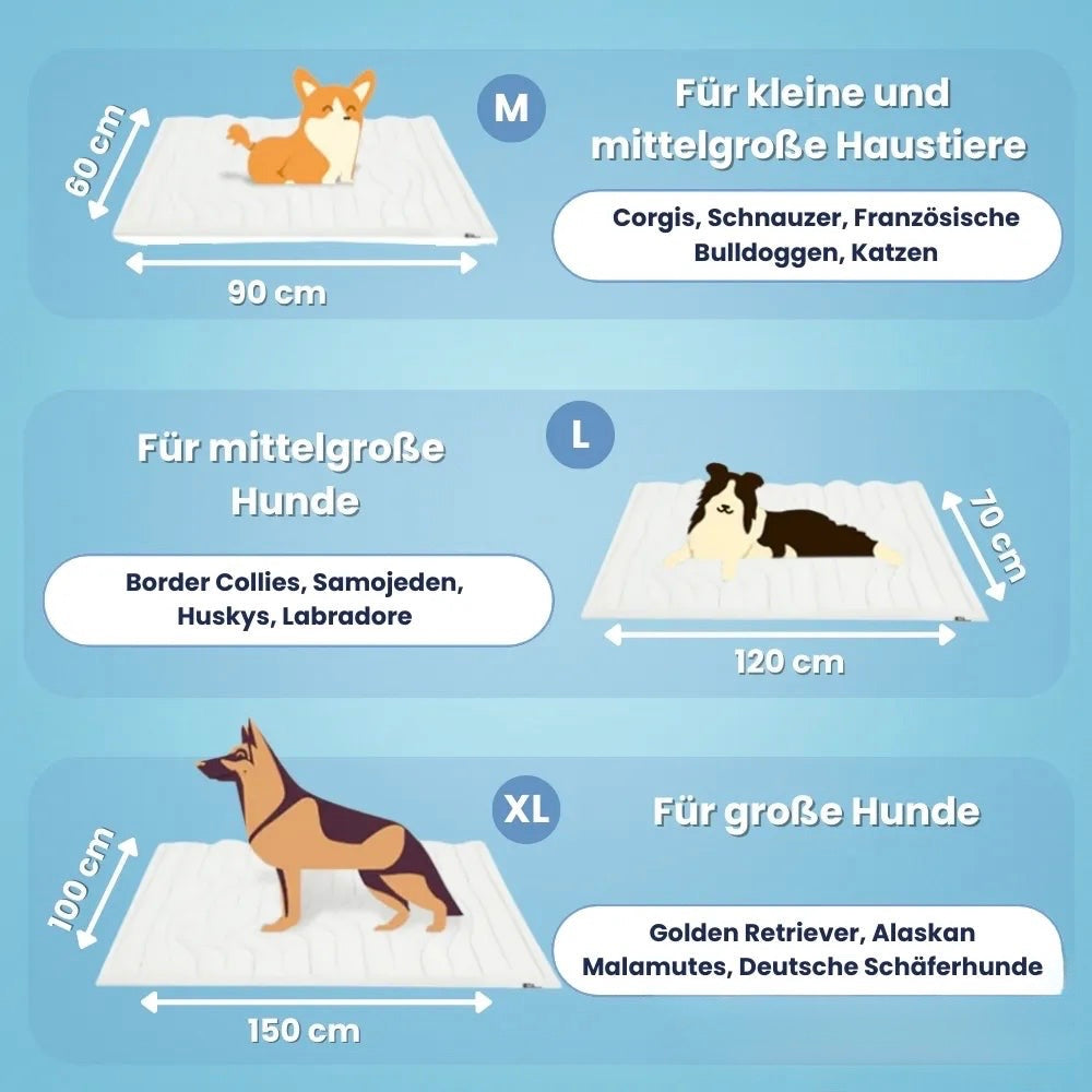 ChillPet – Die clevere Abkühlung für heisse Tage