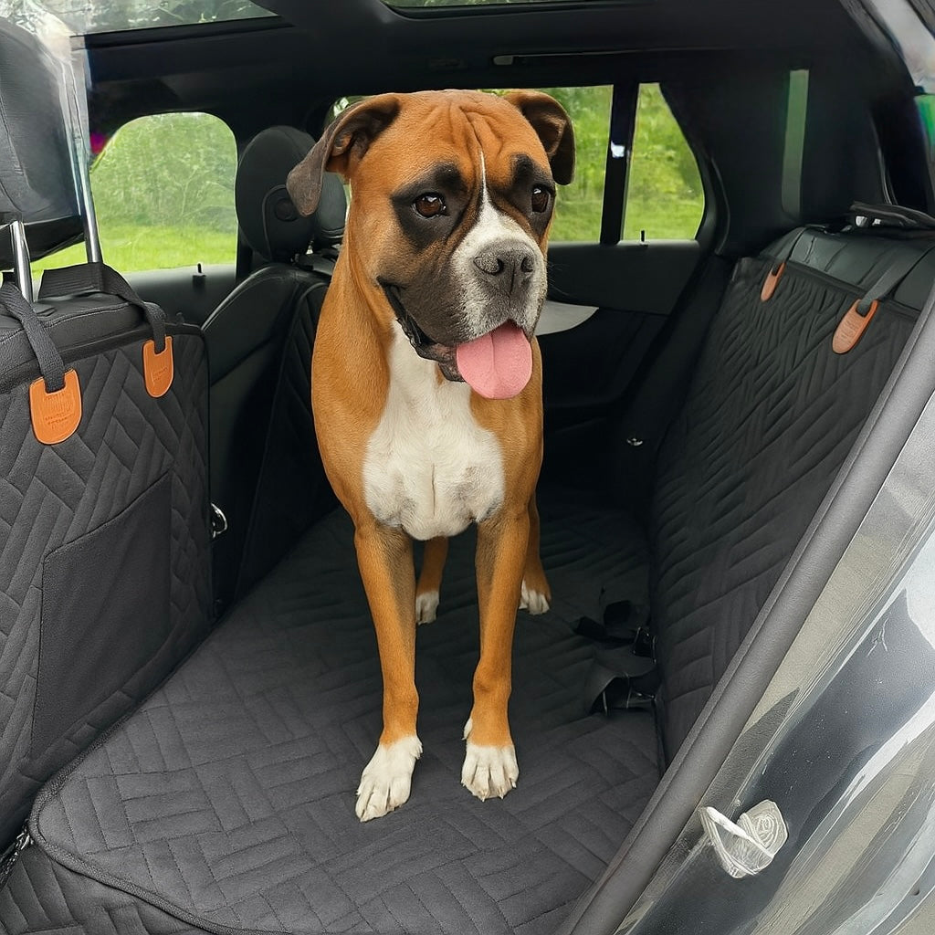 Travelpet – Der robuste Autositzschutz
