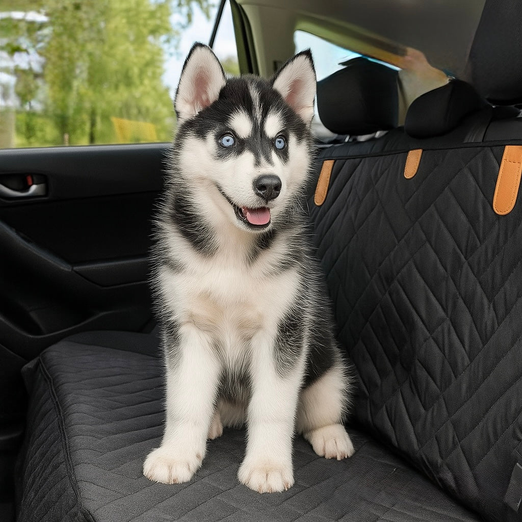 Travelpet – Der robuste Autositzschutz