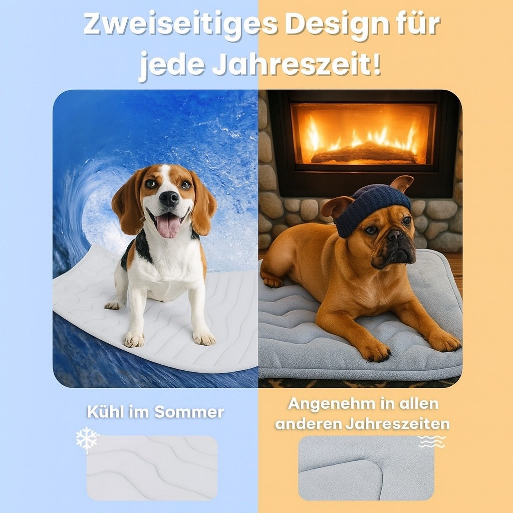 ChillPet – Die clevere Abkühlung für heisse Tage
