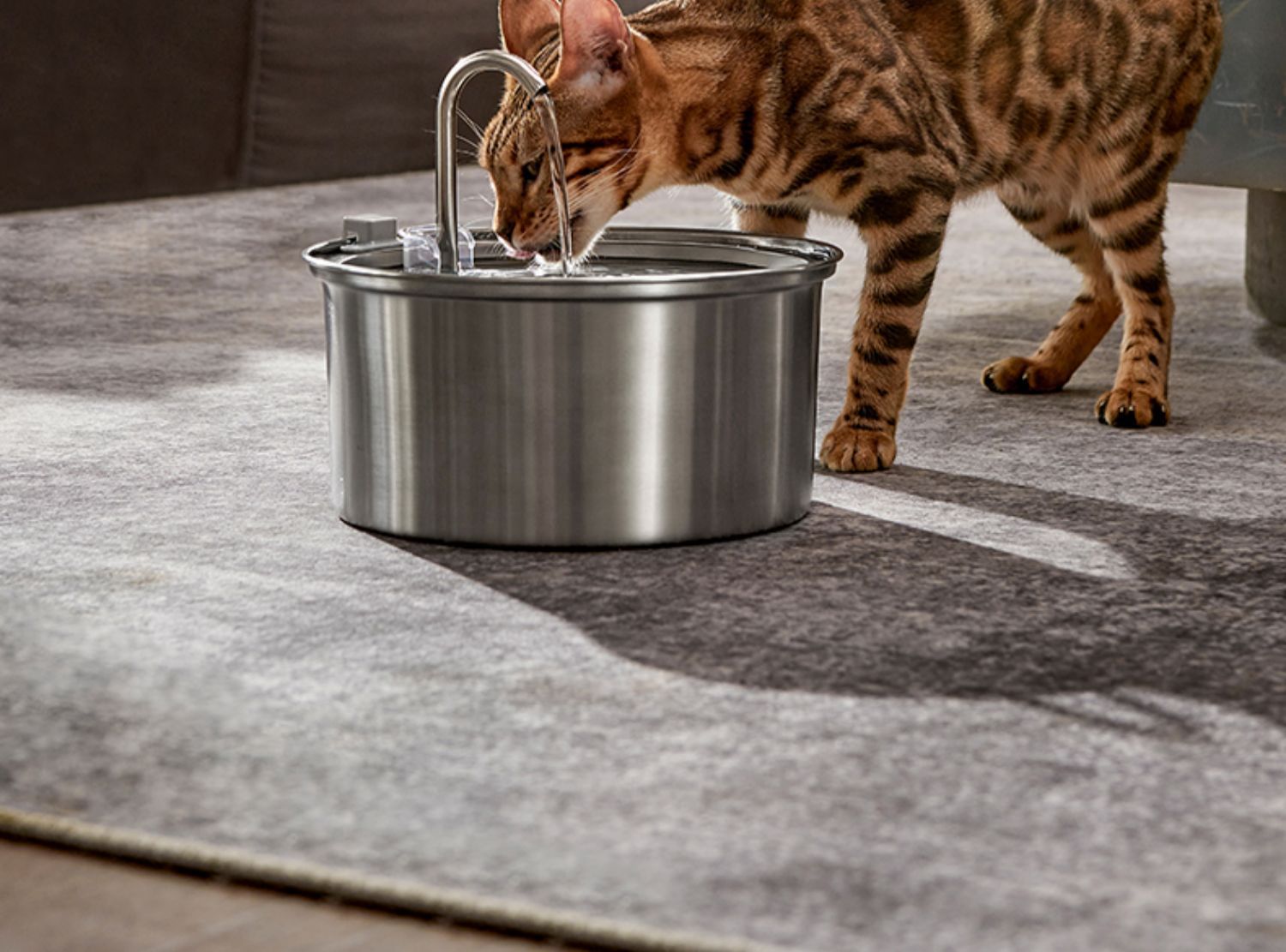 Dispenserpet - Trinkbrunnen für Katzen